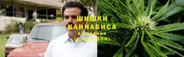 дживик Гусев