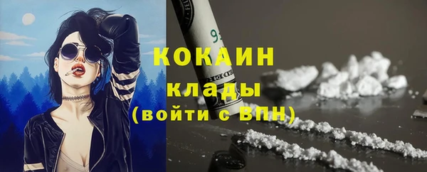 дживик Гусев