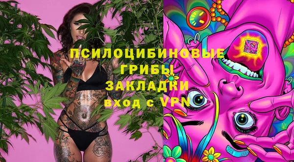 винт Гусиноозёрск