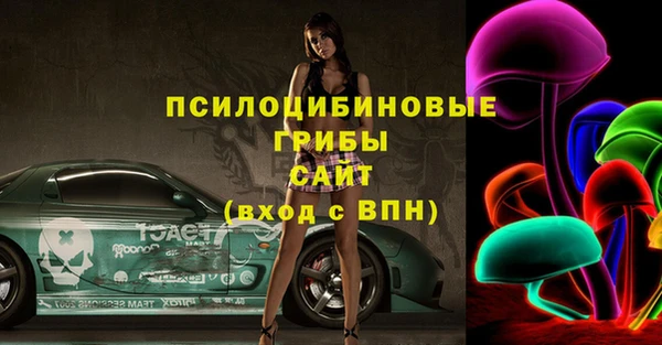дживик Гусев